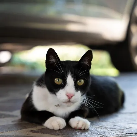 M&m Appartamento Nova Gorica