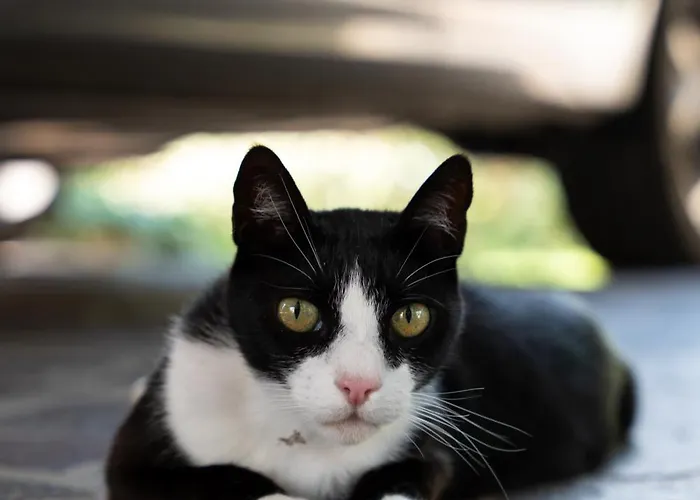 M&m Apartment Nova Gorica